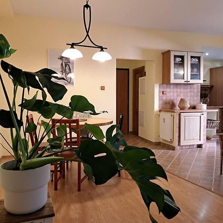 Home In The Heart Of The City 布拉迪斯拉发 外观 照片