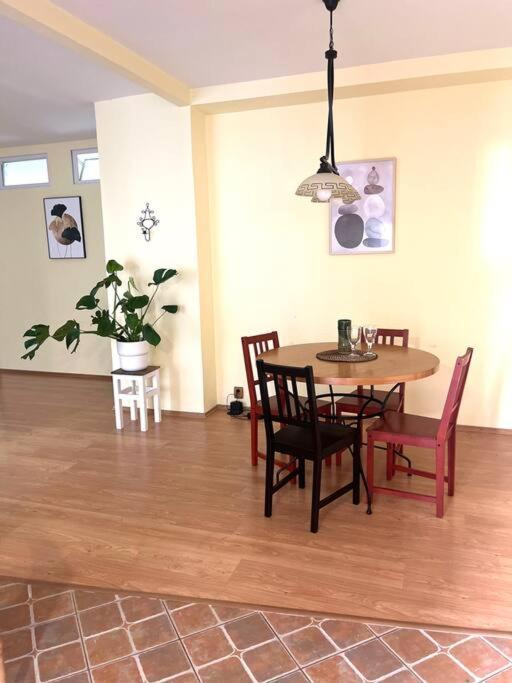 Home In The Heart Of The City 布拉迪斯拉发 外观 照片